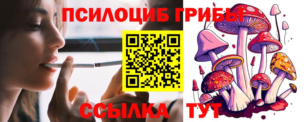 хочу   Псилоцибиновые грибы GOLDEN TEACHER  Скопин  Вход с VPN  Галлюциногенные грибы прущие грибы 